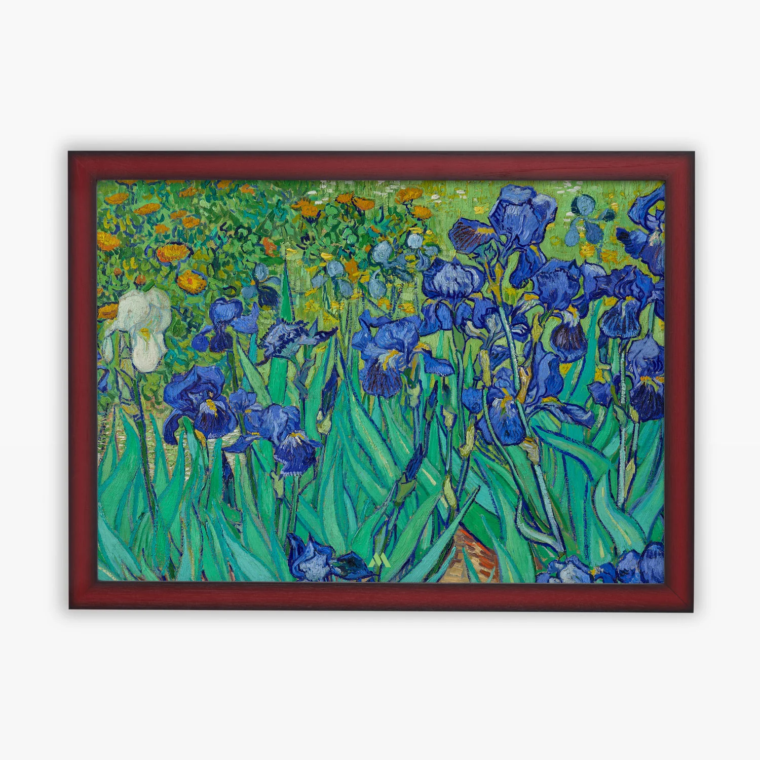 Product image 24